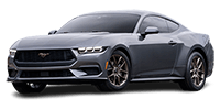 Mustang 이미지