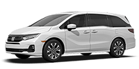 New Odyssey 이미지